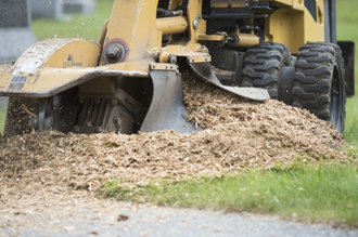 tree stump removal cost englewood